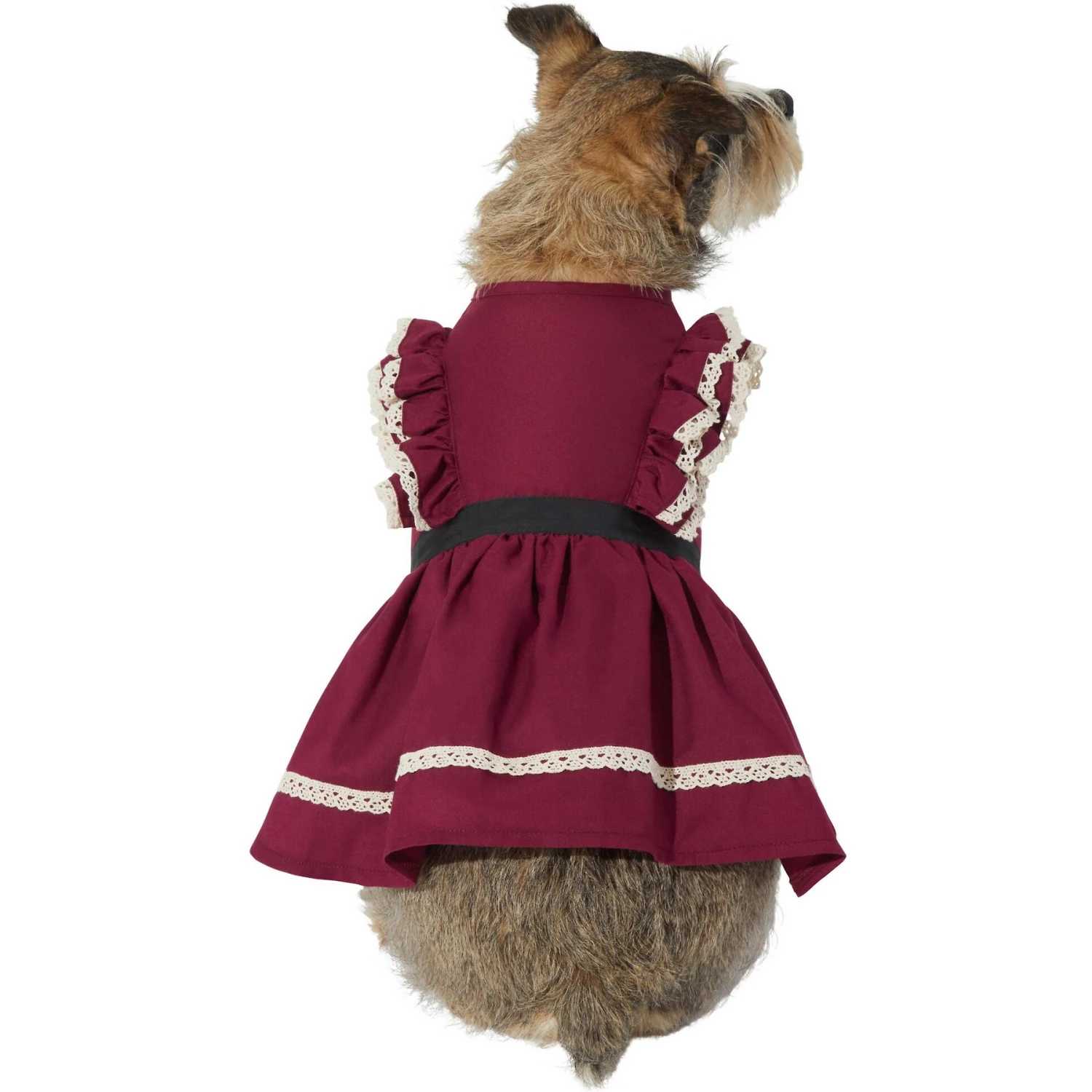 Frisco Plum Dog & Cat Dress 3 Frisco Plum Dog & Cat Dress - Image 3