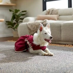 Frisco Plum Dog & Cat Dress 13 Frisco Plum Dog & Cat Dress -Frisco Sales Store 268677 PT8. AC SS1800 V1629766023