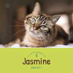 Frisco Personalized "Love" Memorial Ceramic Photo Tile With Stand, 8" X 10" -Frisco Sales Store 268722 PT2. AC SS1800 V1619198218