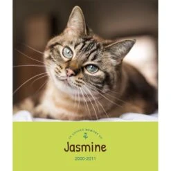 Frisco Personalized "Love" Memorial Gallery-Wrapped Canvas, 8" X 10" 5 Frisco Personalized "Love" Memorial Gallery-Wrapped Canvas, 8" X 10" -Frisco Sales Store 268728 PT2. AC SS1800 V1620413828