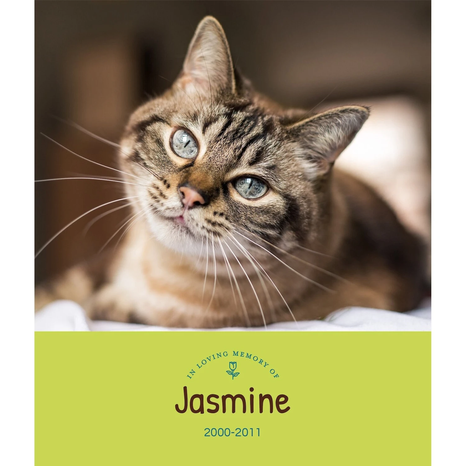 Frisco Personalized "Love" Memorial Gallery-Wrapped Canvas, 8" X 10" 3 Frisco Personalized "Love" Memorial Gallery-Wrapped Canvas, 8" X 10" - Image 3