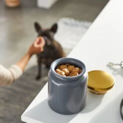 Frisco Modern Gold Rim Ceramic Treat Jar 7 Frisco Modern Gold Rim Ceramic Treat Jar -Frisco Sales Store 270190 PT2. AC SS1800 V1620762371