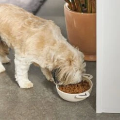 Frisco Dog Face Non-skid Ceramic Cat & Dog Bowl -Frisco Sales Store 270226 PT2. AC SS1800 V1620762156