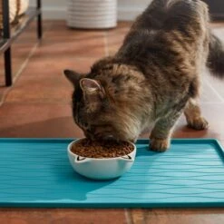 Frisco Cat Face Non-skid Ceramic Cat Bowl, White -Frisco Sales Store 270229 PT3. AC SS1800 V1620762318