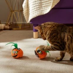 Frisco Halloween Nerdy Jack-o-Lanterns Plush Cat Toy With Catnip, 2 Count 6 Frisco Halloween Nerdy Jack-o-Lanterns Plush Cat Toy With Catnip, 2 Count -Frisco Sales Store 270313 PT3. AC SS1800 V1624824951