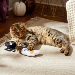 Frisco Halloween Spider & Ghost Plush Cat Toy With Catnip, 2 Count -Frisco Sales Store 270315 PT3. AC SS1800 V1624817028