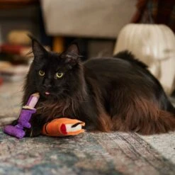 Frisco Halloween Enchanted Book & Candle Plush Cat Toy With Catnip, 2 Count -Frisco Sales Store 270321 PT3. AC SS1800 V1689878926