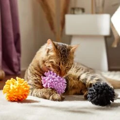 Frisco Halloween Moppy Ball Cat Toy With Catnip -Frisco Sales Store 270337 PT3. AC SS1800 V1624817812