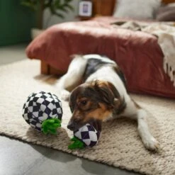 Frisco Halloween Fancy Pumpkin 2-in-1 Plush Squeaky Dog Toy -Frisco Sales Store 270359 PT3. AC SS1800 V1624817665