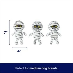 Frisco Halloween Mummy & Coffin Hide & Seek Puzzle Plush Squeaky Dog Toy -Frisco Sales Store 270365 PT2. AC SS1800 V1689872932