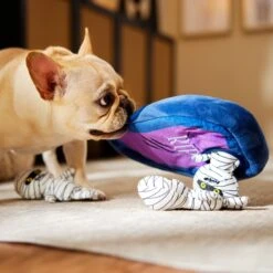 Frisco Halloween Mummy & Coffin Hide & Seek Puzzle Plush Squeaky Dog Toy -Frisco Sales Store 270365 PT3. AC SS1800 V1624817620