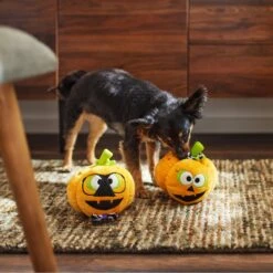 Frisco Halloween Nerdy Jack-o-Lanterns Plush Squeaky Dog Toy -Frisco Sales Store 270431 PT3. AC SS1800 V1624817796