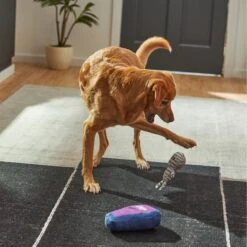 Frisco Halloween Mummy & Coffin Plush Squeaky Dog Toy 7 Frisco Halloween Mummy & Coffin Plush Squeaky Dog Toy -Frisco Sales Store 270437 PT3. AC SS1800 V1624817278