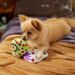 Frisco Halloween Day Of The Dead Sugar Skull Plush Squeaky Dog Toy, 2 Count -Frisco Sales Store 270443 PT3. AC SS1800 V1624824826