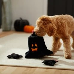 Frisco Halloween Haunted Tree Hide & Seek Puzzle Plush Squeaky Dog Toy 9 Frisco Halloween Haunted Tree Hide & Seek Puzzle Plush Squeaky Dog Toy -Frisco Sales Store 270488 PT3. AC SS1800 V1624817078