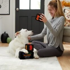 Frisco Halloween 30 Days Of Halloween Countdown Blocks Plush Squeaky Dog Toy -Frisco Sales Store 270494 PT3. AC SS1800 V1624817483