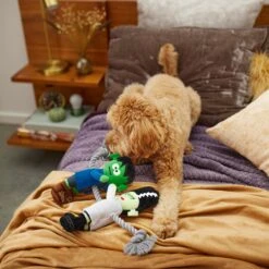 Frisco Halloween Frankenstein & Bride Plush With Rope Squeaky Dog Toy 7 Frisco Halloween Frankenstein & Bride Plush With Rope Squeaky Dog Toy -Frisco Sales Store 270496 PT3. AC SS1800 V1624824775