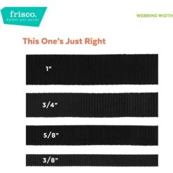 Frisco Solid Polyester Personalized Reflective Dog Leash -Frisco Sales Store 270686 PT3. AC SS1800 V1628029676