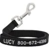 Frisco Solid Nylon Personalized Dog Leash