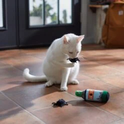 Frisco Camping Bug Spray Plush Cat Toy With Catnip, 3 Count 5 Frisco Camping Bug Spray Plush Cat Toy With Catnip, 3 Count -Frisco Sales Store 270969 PT3. AC SS1800 V1625009346