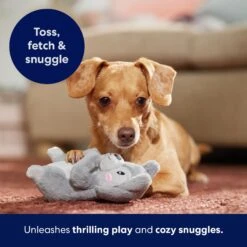 Frisco Camping Squirrel Plush Squeaky Dog Toy 10 Frisco Camping Squirrel Plush Squeaky Dog Toy -Frisco Sales Store 271001 PT5. AC SS1800 V1691785245