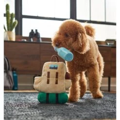 Frisco Camping Backpack Plush Squeaky Dog Toy -Frisco Sales Store 271005 PT3. AC SS1800 V1625009263