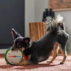 Frisco Camping Compass Plush With Rope Squeaky Dog Toy -Frisco Sales Store 271020 PT3. AC SS1800 V1625008965