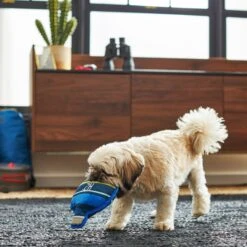 Frisco Camping Canteen Plush With Rope Squeaky Dog Toy 5 Frisco Camping Canteen Plush With Rope Squeaky Dog Toy -Frisco Sales Store 271022 PT3. AC SS1800 V1625009237