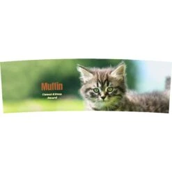 Frisco Basic Double Walled Personalized Tumbler, 30-oz 6 Frisco Basic Double Walled Personalized Tumbler, 30-oz -Frisco Sales Store 271223 PT2. AC SS1800 V1620401536