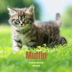 Frisco Personalized Basic Ceramic Photo Tile With Stand -Frisco Sales Store 271227 PT2. AC SS1800 V1619198223