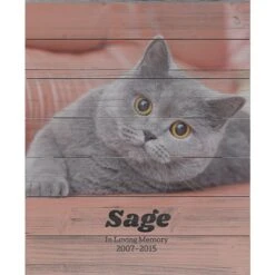 Frisco Personalized "Classic Photo" Rustic Wood Wall Decor, 16" X 20" 5 Frisco Personalized "Classic Photo" Rustic Wood Wall Decor, 16" X 20" -Frisco Sales Store 271233 PT2. AC SS1800 V1621028279