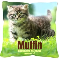 Frisco Personalized Basic Throw Pillow, 16" X 16" -Frisco Sales Store 271237 PT2. AC SS1800 V1620405726