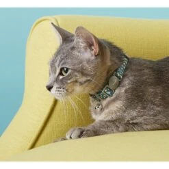 Frisco Pineapple Polyester Personalized Breakaway Cat Collar With Bell -Frisco Sales Store 271597 PT4. AC SS1800 V1618936919