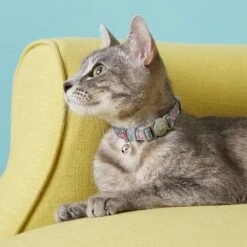 Frisco Rose Polyester Personalized Breakaway Cat Collar With Bell -Frisco Sales Store 271600 PT4. AC SS1800 V1618936952