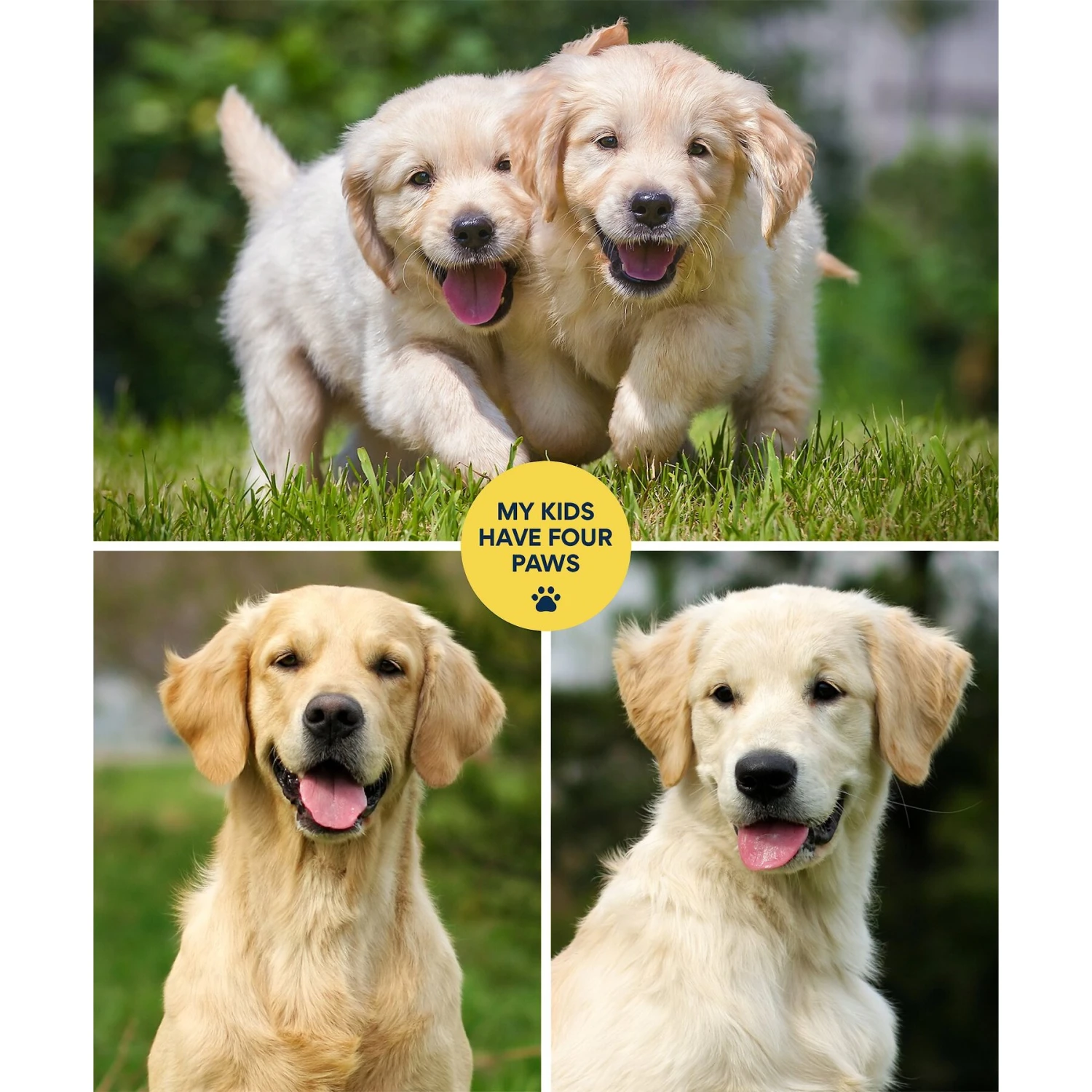 Frisco "Contemporary #1" 8 X 10 Gallery-Wrapped Canvas 3 Frisco "Contemporary #1" 8 X 10 Gallery-Wrapped Canvas - Image 3