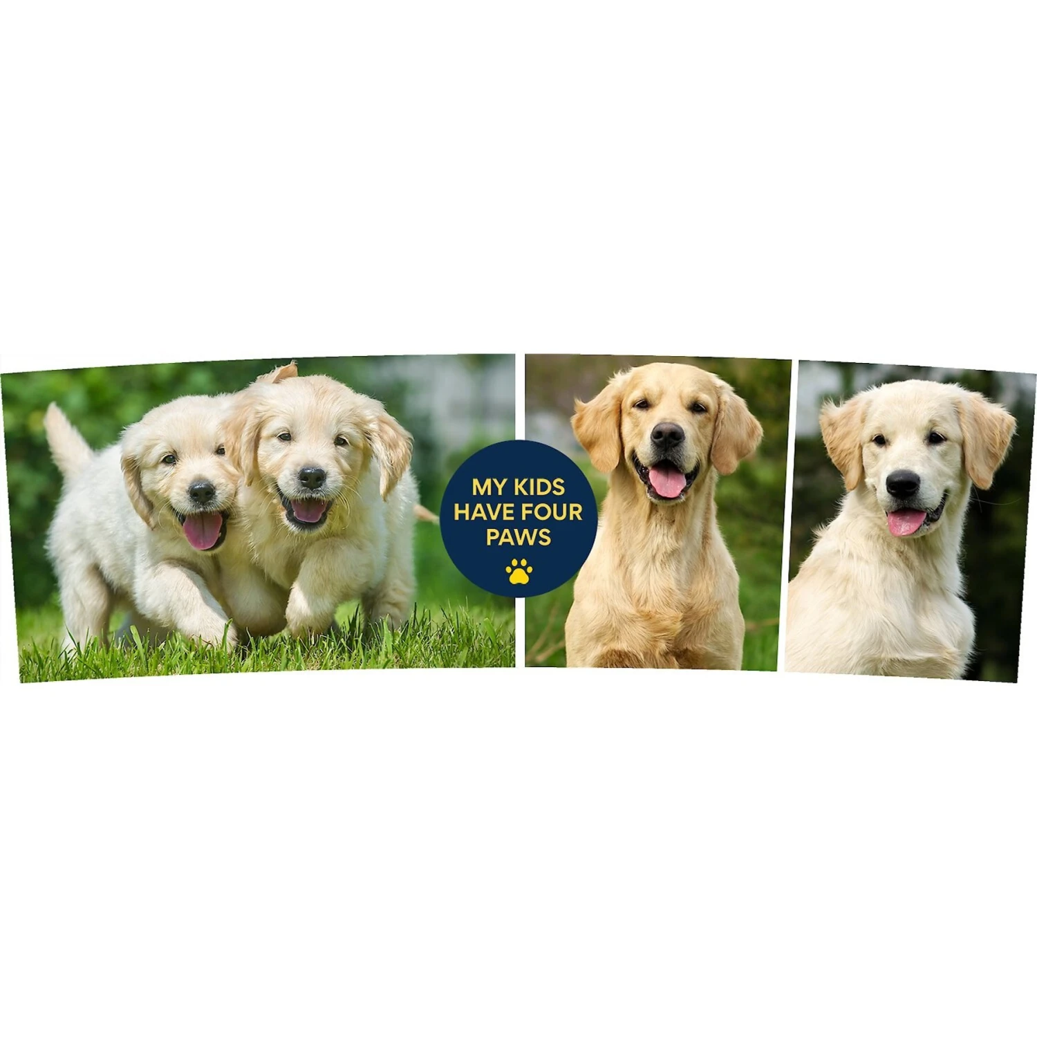 Frisco "Contemporary #1" Double Walled Tumbler. 30-oz 3 Frisco "Contemporary #1" Double Walled Tumbler. 30-oz - Image 3