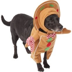 Frisco Front Walking Gingerbread Dog & Cat Costume 10 Frisco Front Walking Gingerbread Dog & Cat Costume -Frisco Sales Store 276156 PT3. AC SS1800 V1631660334