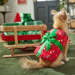 Frisco Holiday Giftbox Dog & Cat Costume -Frisco Sales Store 276175 PT8. AC SS1800 V1631574832