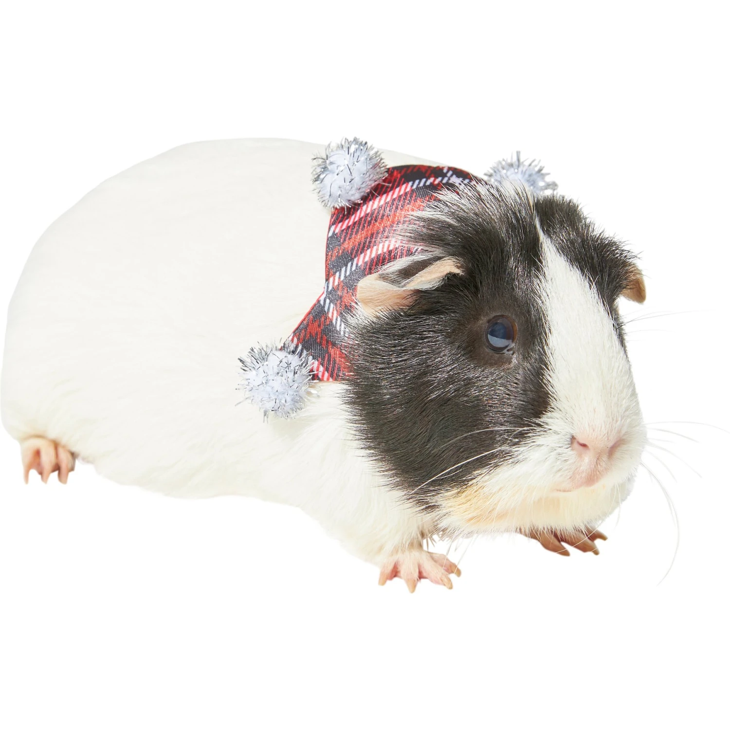 Frisco Red Plaid Guinea Pig Ruffle Collar With Pom Poms 1 Frisco Red Plaid Guinea Pig Ruffle Collar With Pom Poms