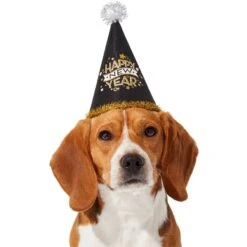 Frisco Happy New Year Dog & Cat Hat -Frisco Sales Store 276190 PT2. AC SS1800 V1631303599