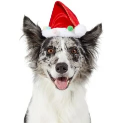 Frisco Holiday Poms Dog & Cat Santa Hat -Frisco Sales Store 276194 PT2. AC SS1800 V1631303507