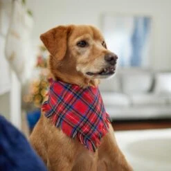 Frisco Red/Green Plaid Dog & Cat Flannel Bandana -Frisco Sales Store 276201 PT5. AC SS1800 V1637669261
