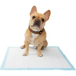 Frisco Premium Dog Training & Potty Pads & Frisco Premium Extra Large Dog Training & Potty Pads -Frisco Sales Store 276223 PT4. AC SS1800 V1616193411