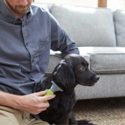 Frisco Soft Slicker Dog Brush, One Size & Frisco Deshedding Dog & Cat Brush 13 Frisco Soft Slicker Dog Brush, One Size & Frisco Deshedding Dog & Cat Brush -Frisco Sales Store 276229 PT6. AC SS1800 V1616191886