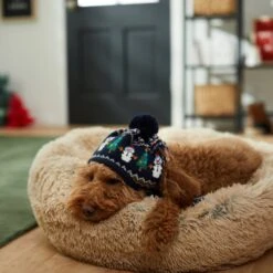 Frisco Jolly Snowman Dog & Cat Knitted Hat -Frisco Sales Store 276303 PT8. AC SS1800 V1631300384