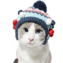 Frisco Pom Pom Dog & Cat Knitted Hat -Frisco Sales Store 276307 PT3. AC SS1800 V1631303197