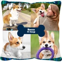 Frisco "Contemporary #2" Throw Pillow 16 X 16