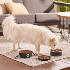 Frisco Travel Stainless Steel Dog & Cat Bowl 9 Frisco Travel Stainless Steel Dog & Cat Bowl -Frisco Sales Store 277509 PT2. AC SS1800 V1630345984