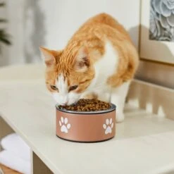 Frisco Paw Print Non-Skid Stainless Steel Dog & Cat Bowl 10 Frisco Paw Print Non-Skid Stainless Steel Dog & Cat Bowl -Frisco Sales Store 277546 PT3. AC SS1800 V1630347716