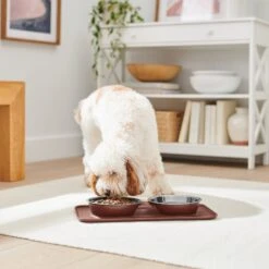 Frisco Silicone Stainless Steel Double Diner Dog & Cat Bowl, Brown 9 Frisco Silicone Stainless Steel Double Diner Dog & Cat Bowl, Brown -Frisco Sales Store 277551 PT2. AC SS1800 V1630346531